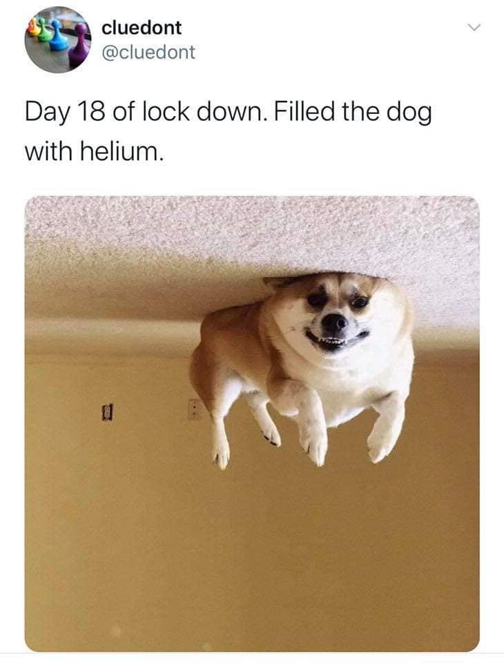 random image